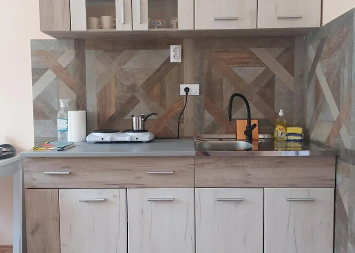 公寓 Dukat 索科矿泉村